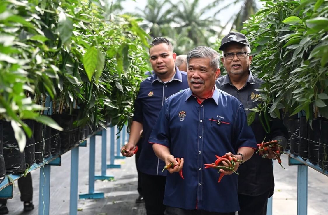 WhatsApp Image 2025 01 14 at 10.39.08 AM